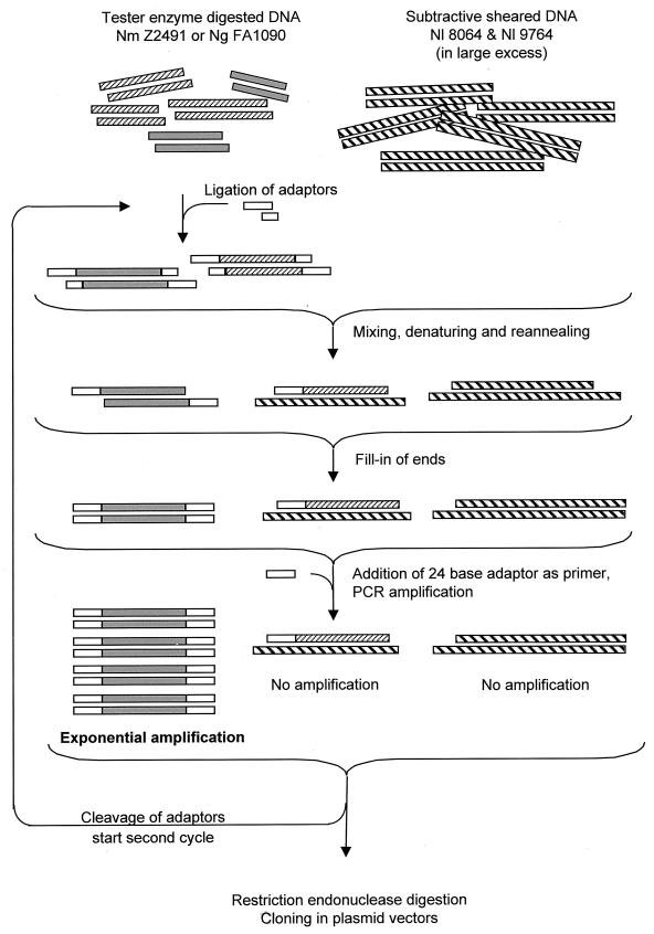 FIG. 1