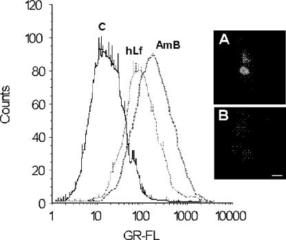 FIG. 4.