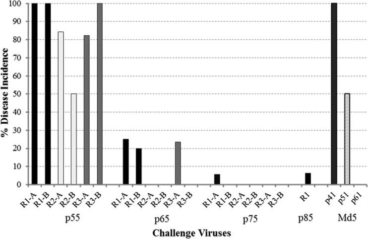 FIG 1