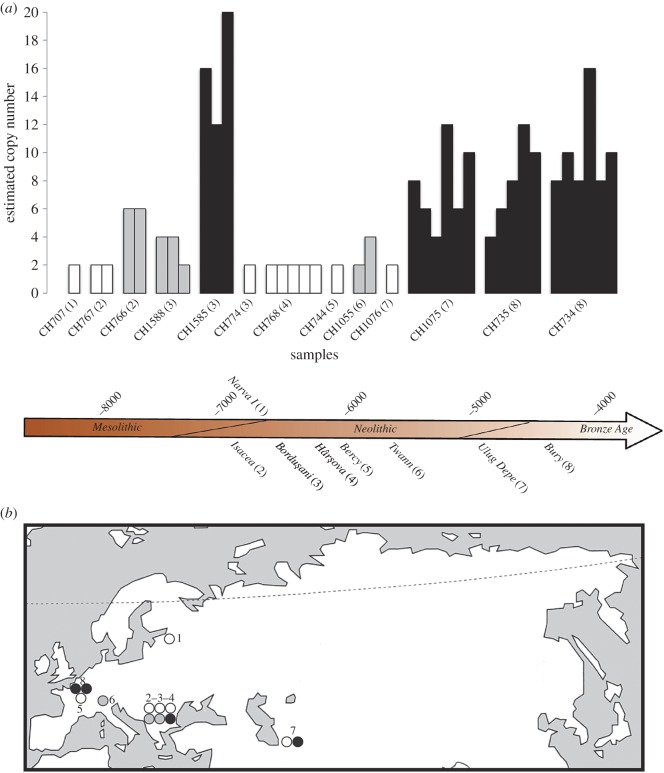 Figure 1.