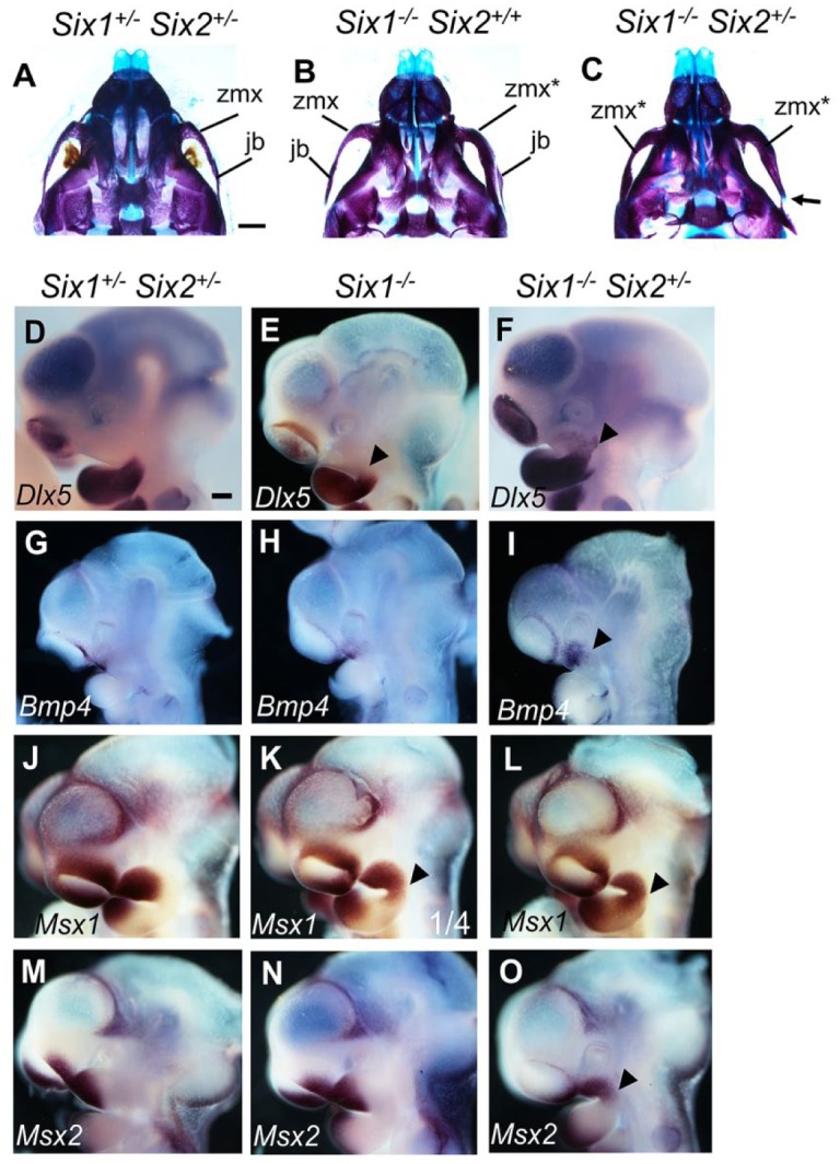 Figure 3.