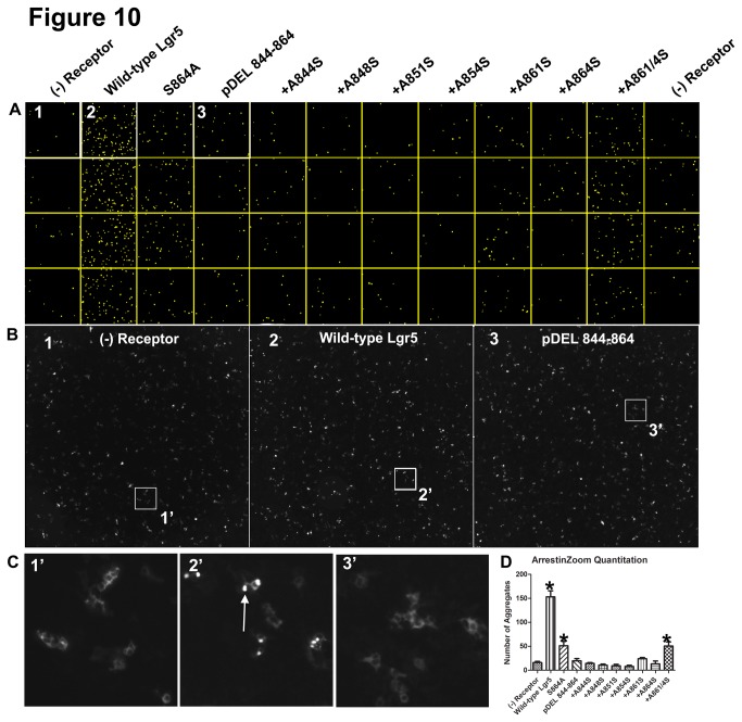 Figure 10