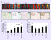 <b>Figure 6.</b>