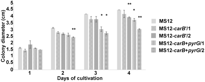 Figure 4