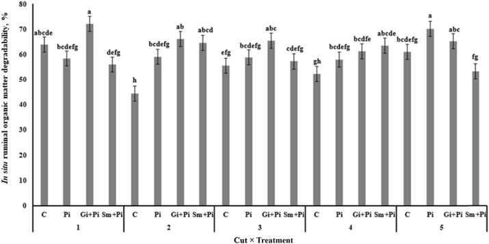 Fig. 6