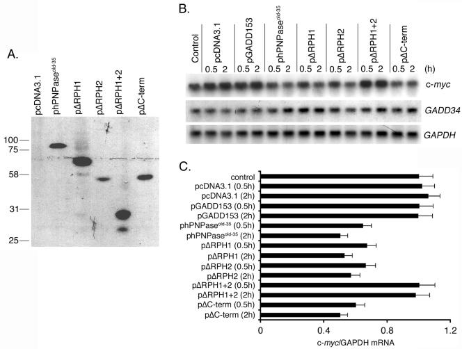 FIG. 5.