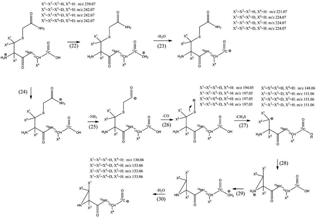 Scheme 3