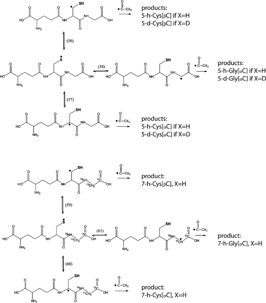 Scheme 6