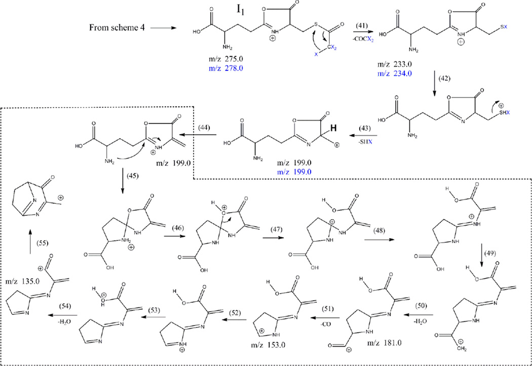 Scheme 5