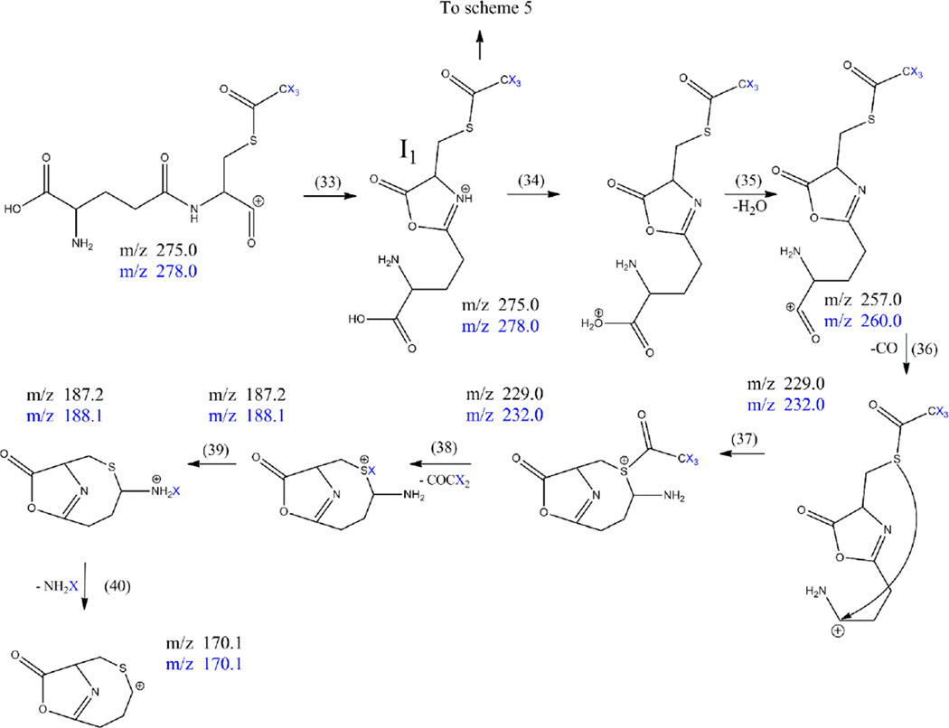 Scheme 4