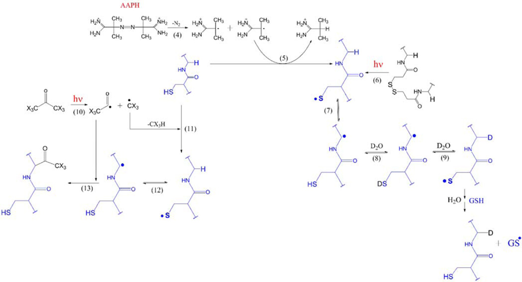 Scheme 1