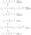 Scheme 6