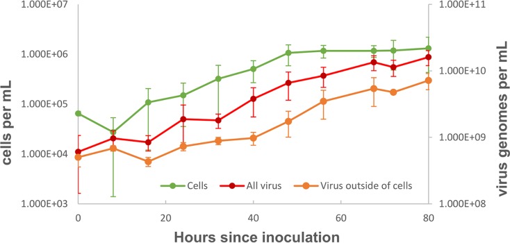 FIG 3