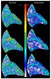 Figure 8