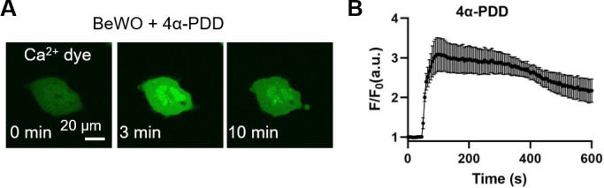 Figure 1—figure supplement 3.