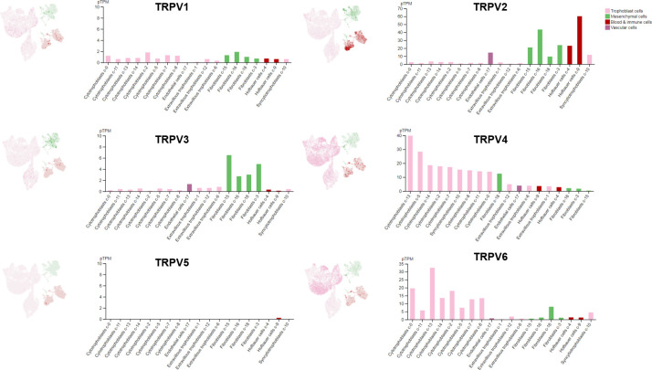 Figure 1—figure supplement 1.