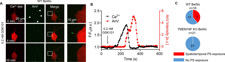 Figure 6.