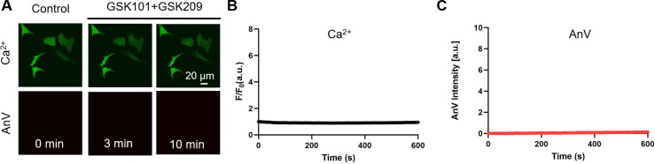 Figure 4—figure supplement 1.