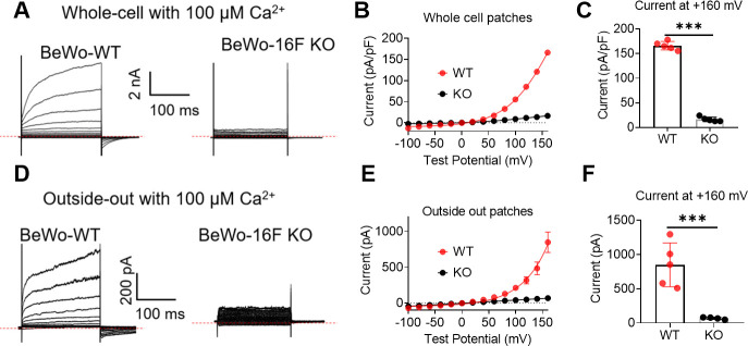 Figure 3—figure supplement 1.