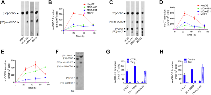 Fig. 4