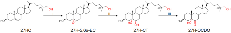 Fig. 2