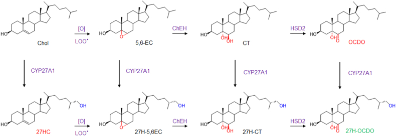 Fig. 10