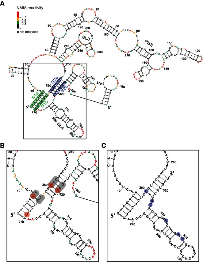 FIGURE 1.