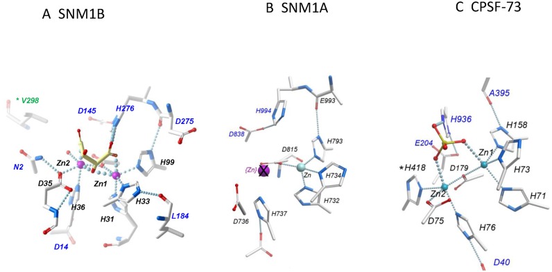 Figure 2.