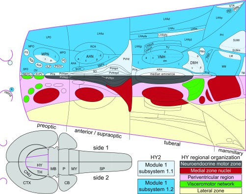 Fig. 6.