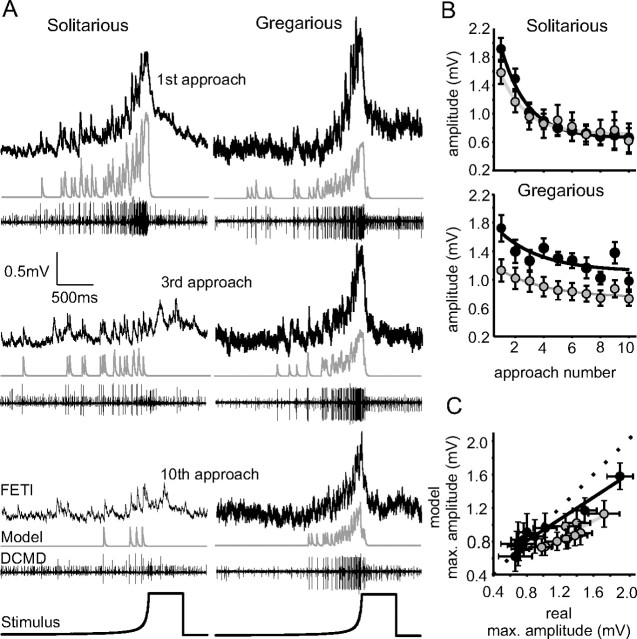 Figure 10.