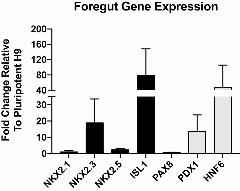 Figure 3.