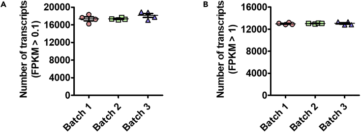 Figure 9