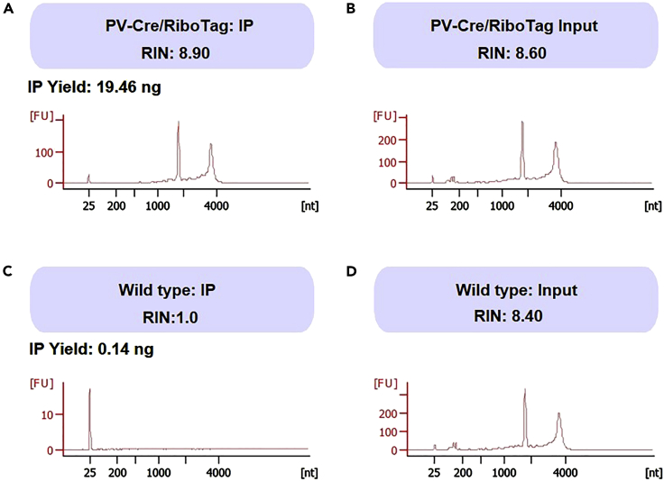 Figure 10