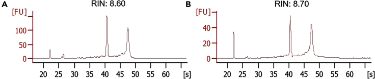 Figure 6