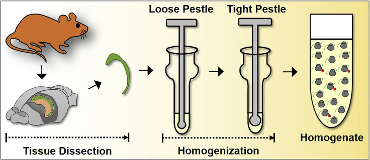 Figure 3