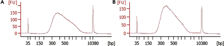 Figure 8