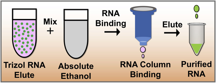 Figure 5