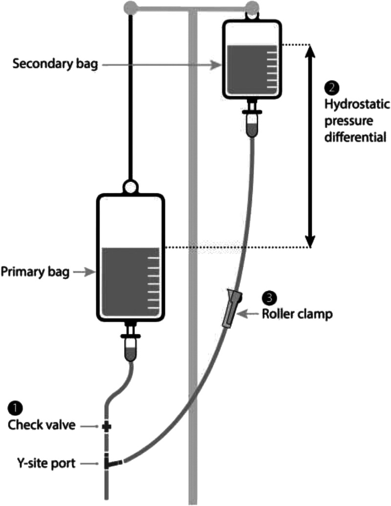 FIGURE 1