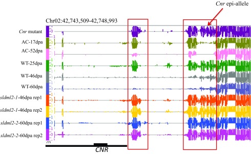 Fig. S4.