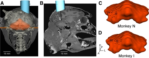 Fig. 2.