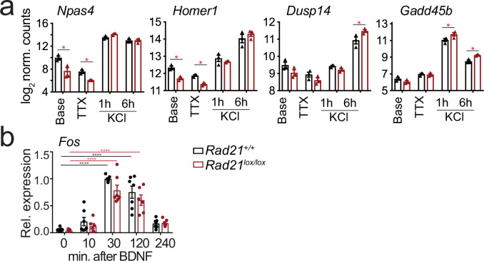 Figure 7—figure supplement 1.