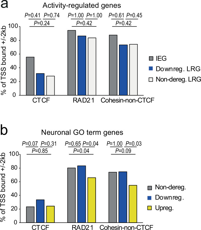 Figure 6—figure supplement 1.