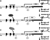 Fig. 7