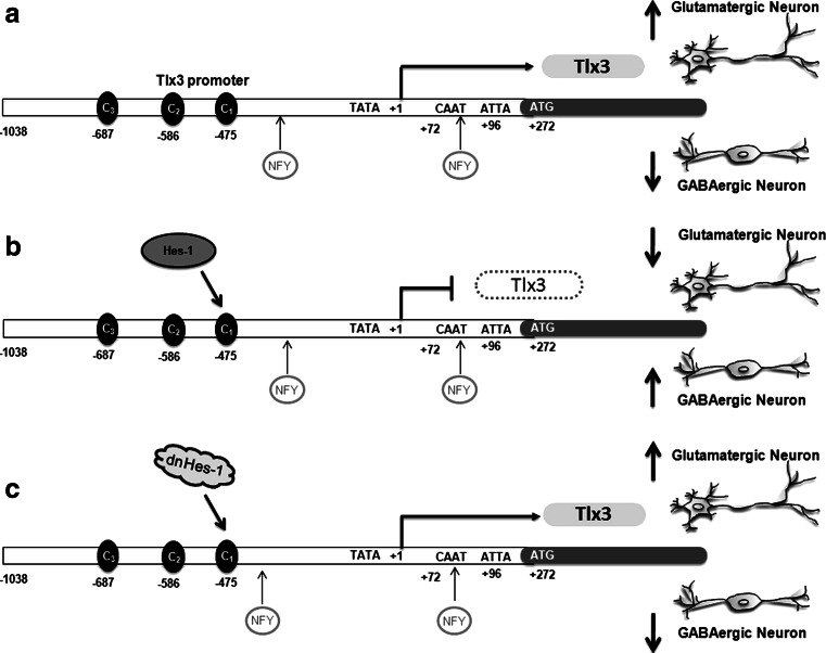 Fig. 7