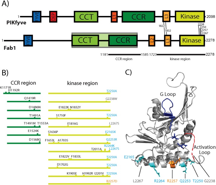 FIGURE 1: