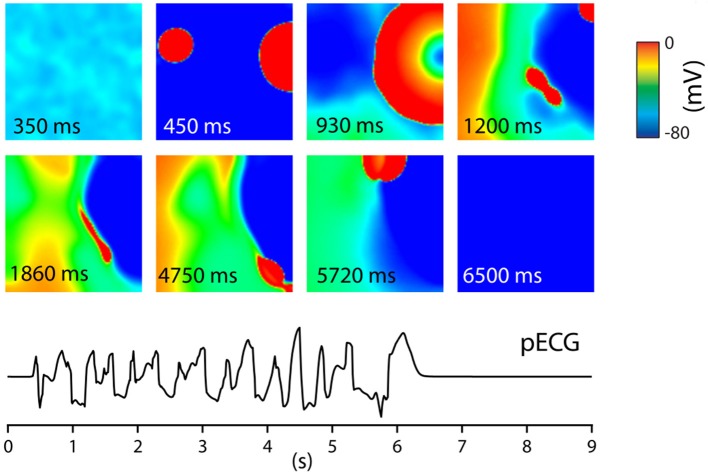 Figure 5