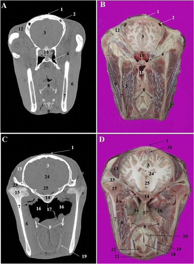 FIGURE 6