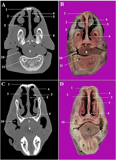 FIGURE 3