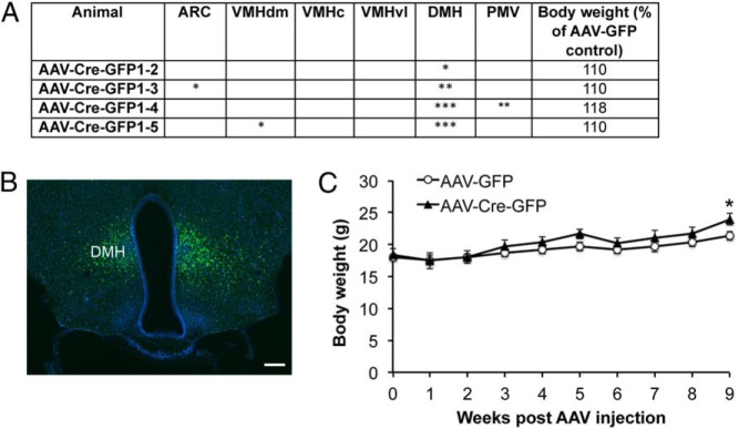 Figure 3.