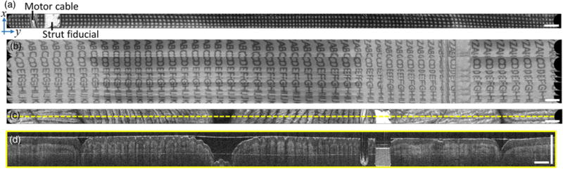 Fig. 4